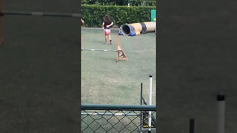 agility esporte para a família crianças adultos e idosos