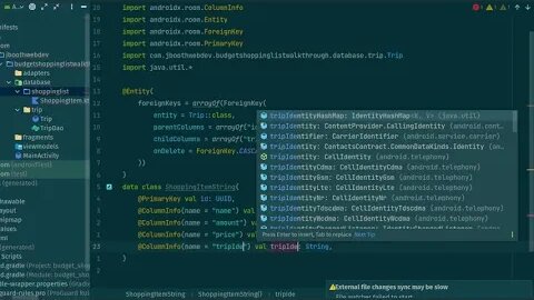 Kotlin App: Budget Shopping List part 2, Setting up the database