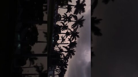 #sky #earth #life
