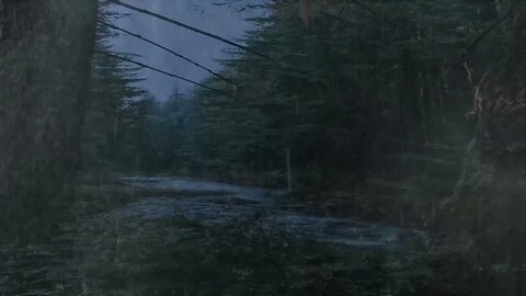 Lass dich vom starkem Regen und Donner in den Schlaf wiegen 🌧🌩 8 Stunden Black Screen