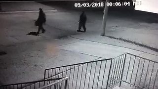 TFD seeking help ID'in persons of interest