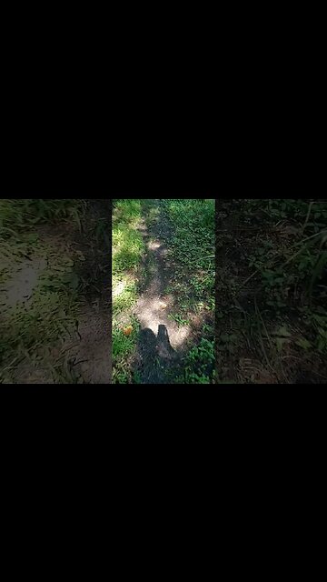 i can turn off the whole ecosystem. #shorts