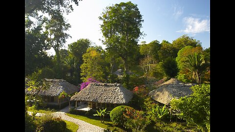 Miami, USA 🇺🇸 September 1993