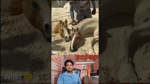 Respect Relax 😍💯🔥 Shorts_Videos #shorts #shortsvideos #viral #trending #reels #respect #shortfeed