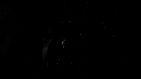 Driving at night for ice cream