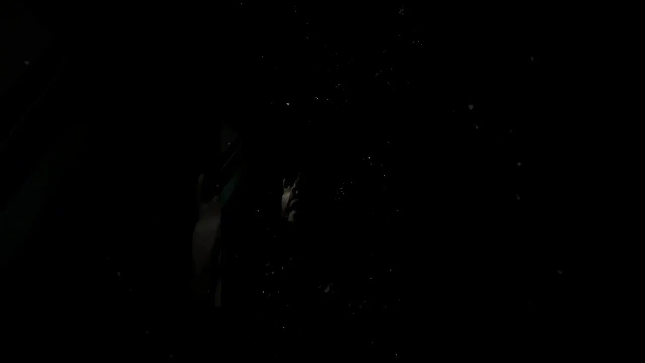 Driving at night for ice cream