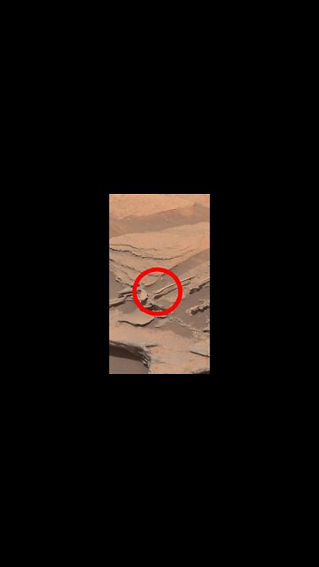 Som ET - 82 - Mars - Curiosity Sol 1089 - Video 1 #Shorts