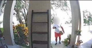 Funcionário da Amazon filmado roubando bicicleta de cliente