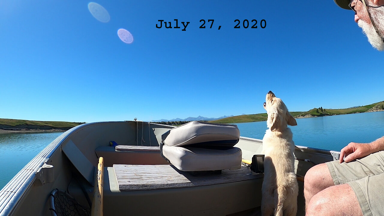 Golden Retriever Puppy Loves Boating Part 1 of 2