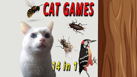 CAT GAMES: 14 IN 1