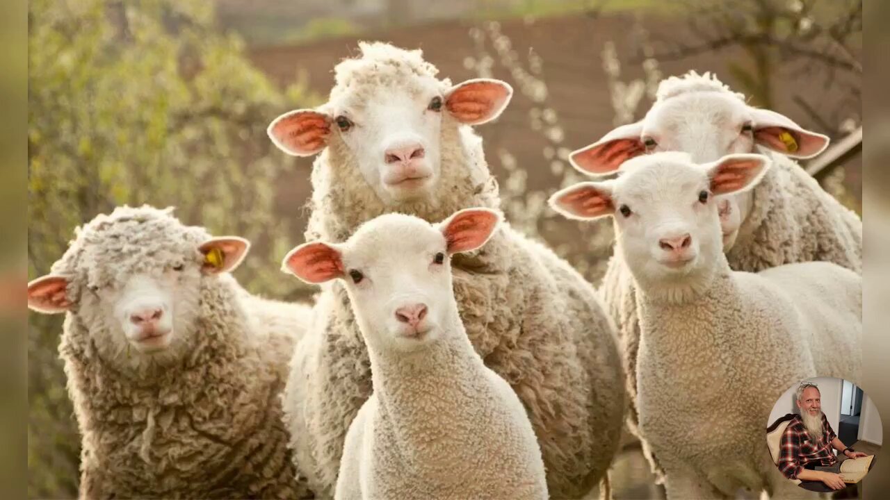 Let No Man Deceive You By Any Means By The Religious Spirits