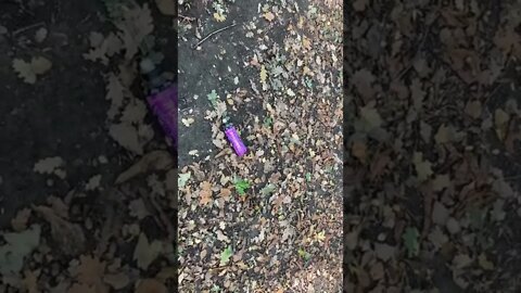 Definition of scum: People who drop litter in the woods because they think they are too important.