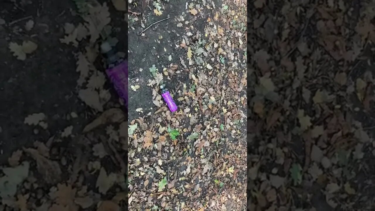 Definition of scum: People who drop litter in the woods because they think they are too important.