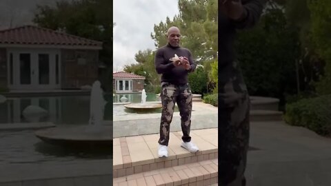 Mike Tyson Alimentando os Pombos #shorts