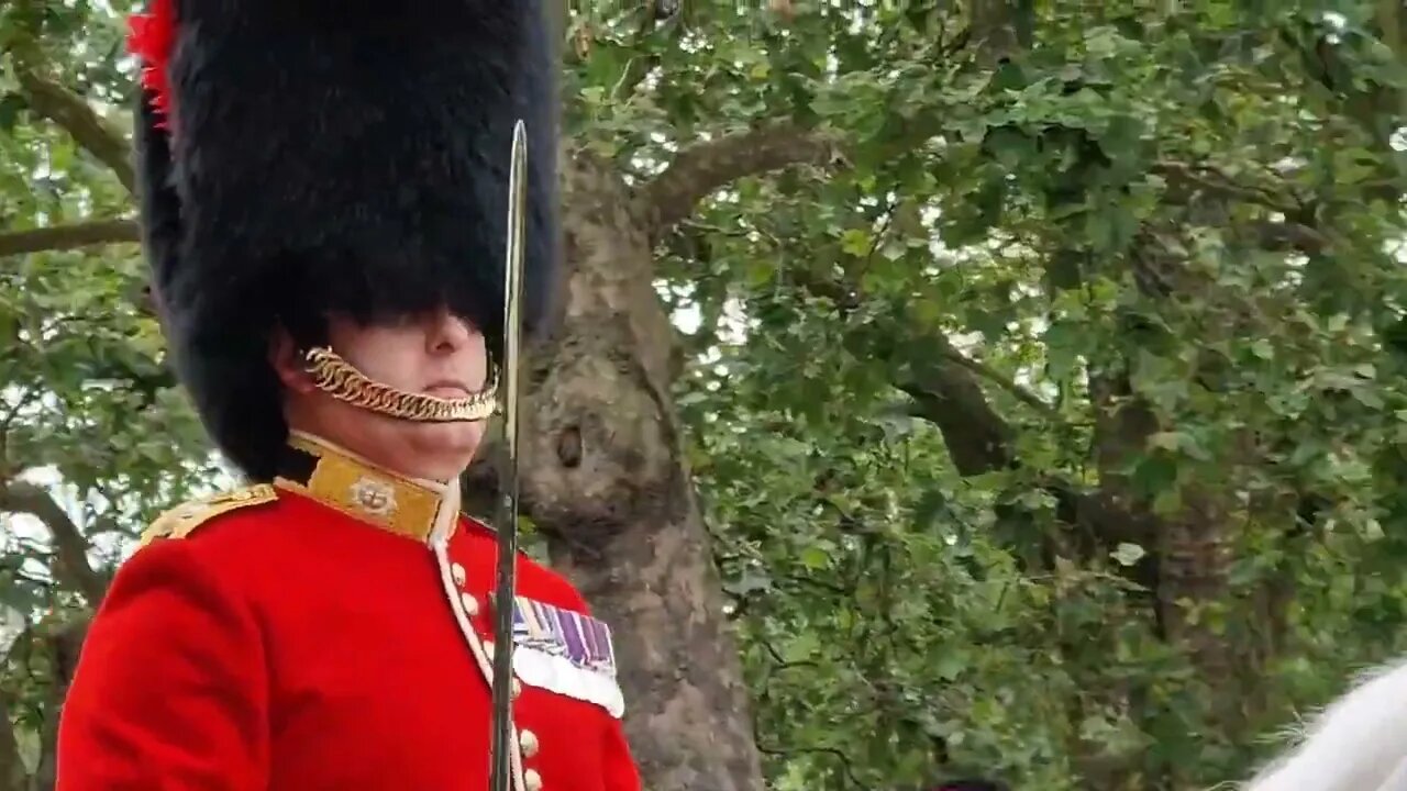 mounted horse back Coldstream guard #trooping the colour #thekingsguard