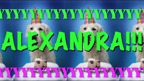 HAPPY BIRTHDAY ALEXANDRA! - EPIC Happy Birthday Song