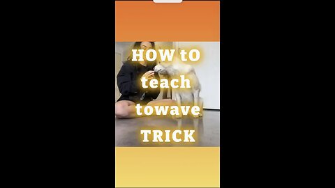 How to Teach Your Dog to Wave Hello 👋