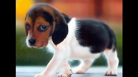 Cute Puppies 😍 With Smart Dogs