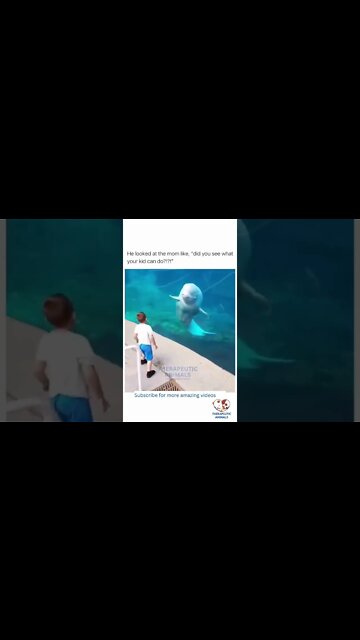 Beluga AMAZED By Kid's Talent