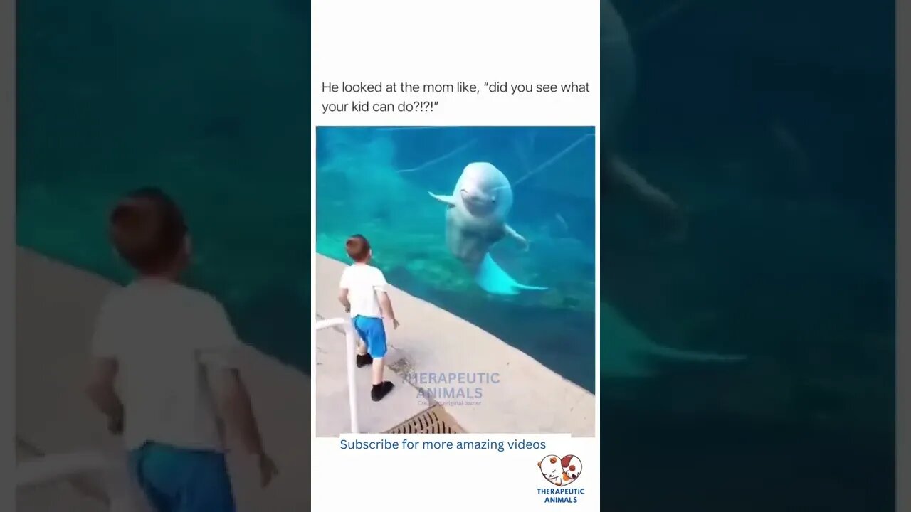 Beluga AMAZED By Kid's Talent