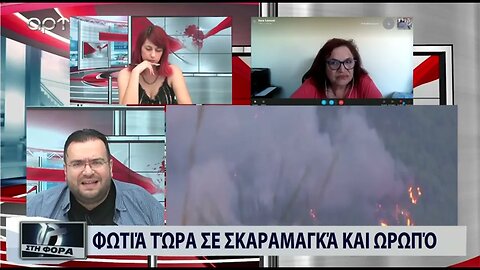 Φωτιά στην Ηλεία: συνεχίζεατι η μάχη των πυροσβεστών με τις φλόγες (ΑΡΤ, 25/07/2022)