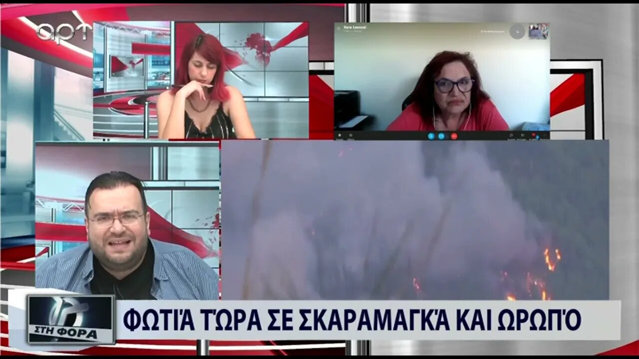 Φωτιά στην Ηλεία: συνεχίζεατι η μάχη των πυροσβεστών με τις φλόγες (ΑΡΤ, 25/07/2022)