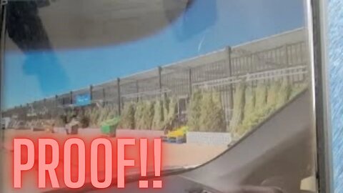 Free Christmas Trees 🌲 Prove Financial Collapse