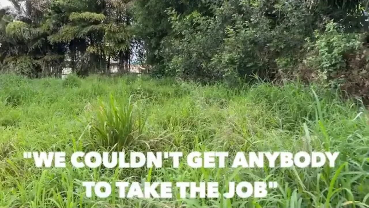 NOBODY @ would @ mow @ this @ NIGHTMARE @ of @ a @ yard @ for this KIND lady SO I DID FOR FREE!!! IN