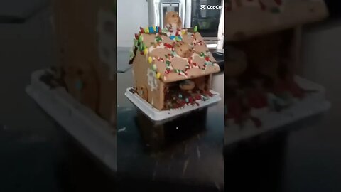 cool gingerbread houses