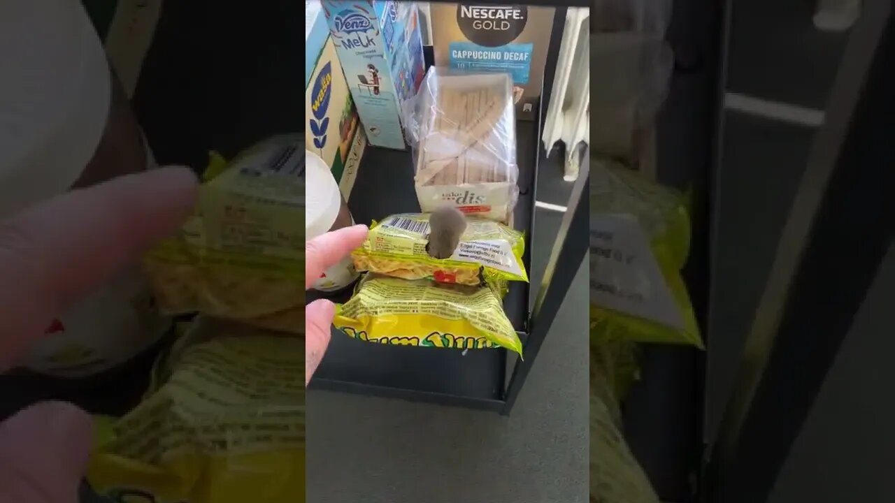 So Scary tiktok petersteeleismygod