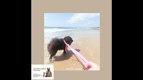 Beach walks 🐾🐾