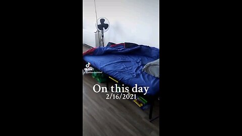 review of my new bed