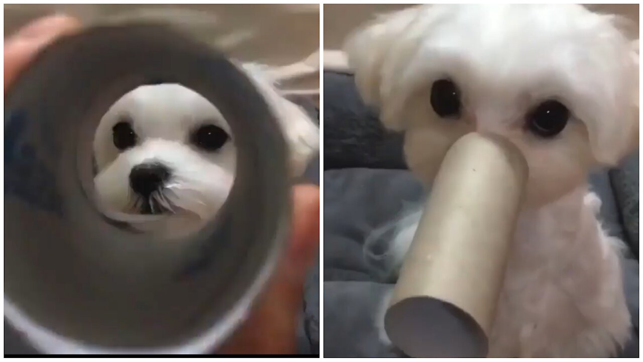 my puppy and me playing together and enjoy everyday