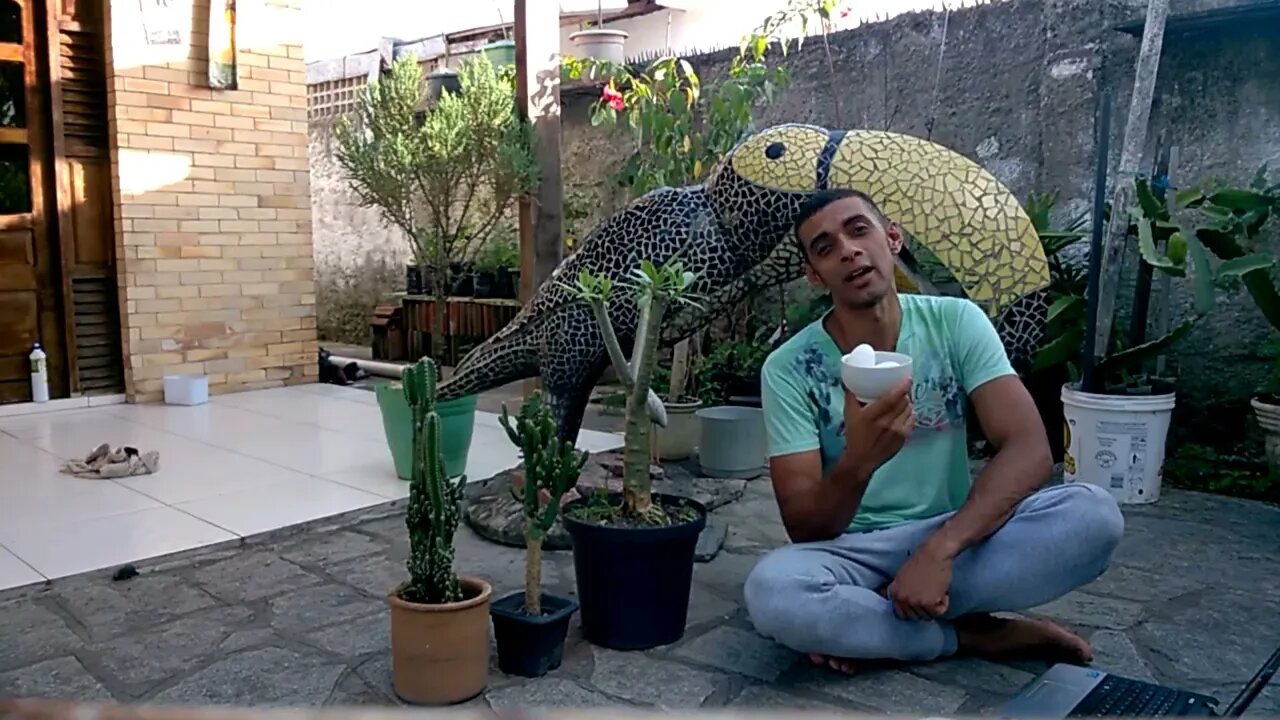 NUNCA DEIXE DE USAR CASCA DE OVO-2019 É BOM PRA SAÚDE DAS...