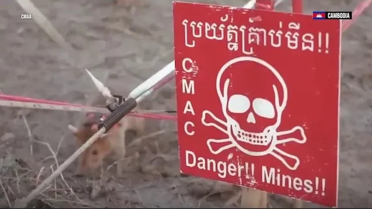PM Hun Sen asks US & Ukraine not to use cluster munitions