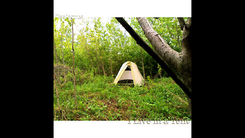 "Yuseph's Dub" by Caalamus from the Album "I Live in a Tent"