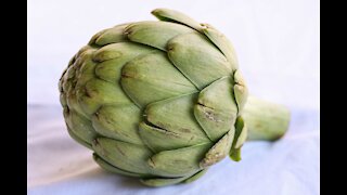 Artichoke Ain't Gonna Choke Me