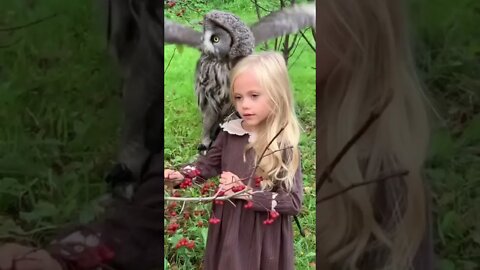 The Little Girl and the owl #shorts