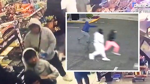 ANOTHER Los Angeles Store Gets RANSACKED by Ruthless Mob