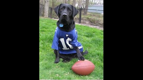 NFL Recap Week#2 Predictions Week#3 Finale
