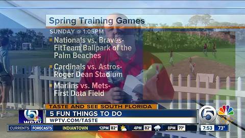 5 fun things to do this weekend