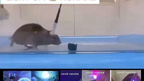 Scientists create Zømbies via blue light