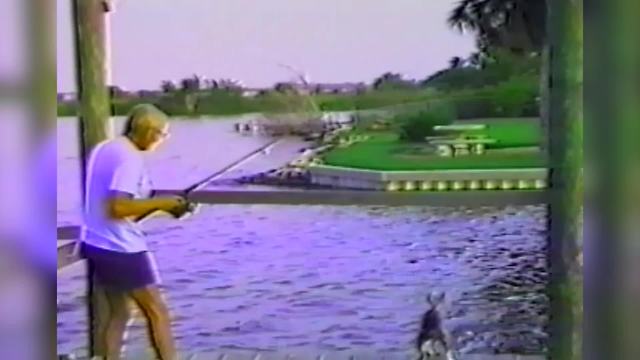 "Dog Trying to Catch Fish on Dock Falls into Water"