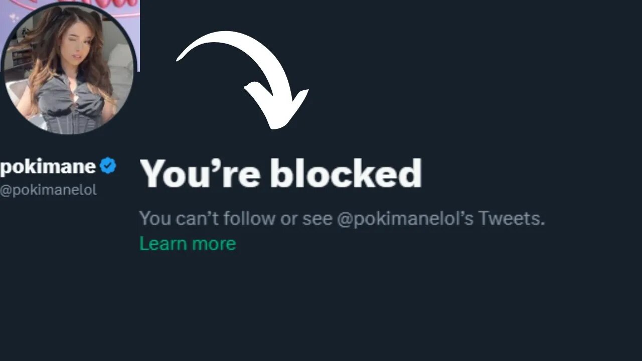 POKIMANE BLOCKED ME (I'm Innocent)