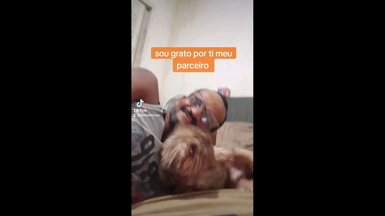 my companion dog
