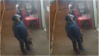 Cane golosone ruba lo spiedino a un cliente distratto