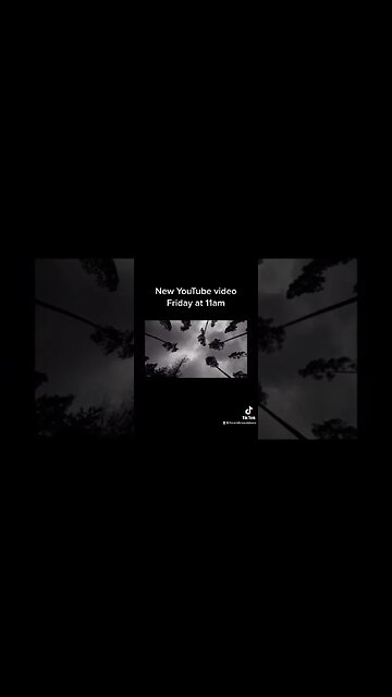 New video Friday at 11am part 2 of our wilderness trip in Flordia #shorts