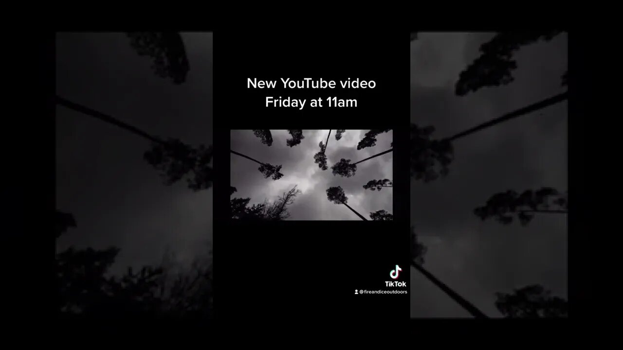 New video Friday at 11am part 2 of our wilderness trip in Flordia #shorts