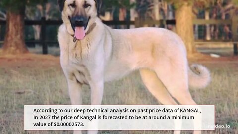 Kangal Price Prediction 2022, 2025, 2030 KANGAL Price Forecast Cryptocurrency Price Prediction