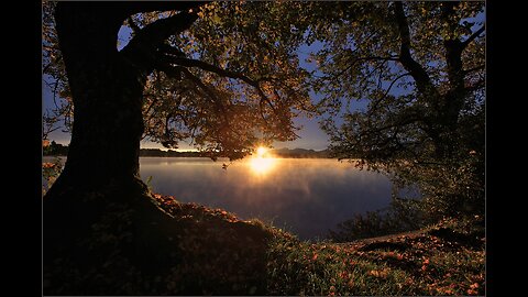 Guten Morgen Sonnenschein